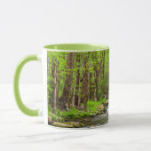 Great Smoky Mountains National Park North Carolina Tasse (Links)