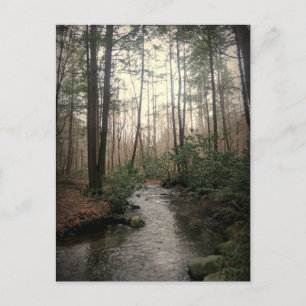 Great Smoky Mountains National Park Postkarte