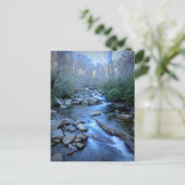 Great Smoky Mountains National Park Postkarte (Stehend Vorderseite)