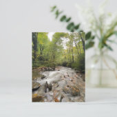 Great Smoky Mountains National Park, Tennessee Postkarte (Stehend Vorderseite)