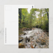 Great Smoky Mountains National Park, Tennessee Postkarte (Vorne/Hinten)