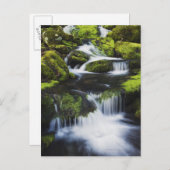 Great Smoky Mountains National Park, Tennessee Postkarte (Vorne/Hinten)