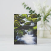 Great Smoky Mountains National Park, Tennessee Postkarte (Stehend Vorderseite)