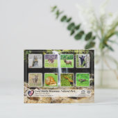 Great Smoky Mountains National Park - Tiere Postkarte (Stehend Vorderseite)