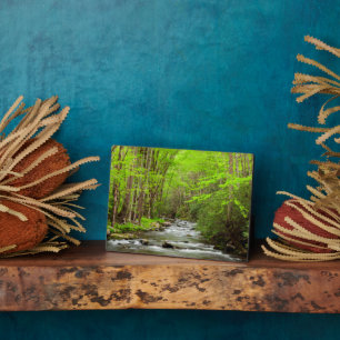 Great Smoky Mountains Nationalpark North Carolina Fotoplatte