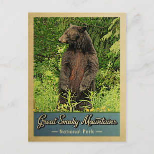 Great Smoky Mountains Postcard Nationalparkbär Postkarte