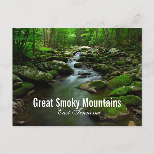Great Smoky Mountains River Postcard Postkarte (Vorderseite)