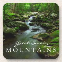 Great Smoky Mountains-Strom Watefall Tremont