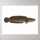 Great Snakehead Poster (Vorne)