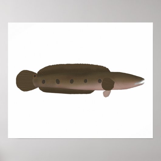 Great Snakehead Poster (Vorne)