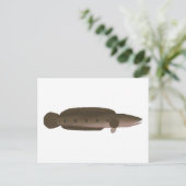 Great Snakehead Postkarte (Stehend Vorderseite)