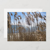 Great South Bay an Blue Point, NY Postkarte (Vorne/Hinten)