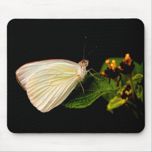 Great Southern White auf grünen Blätter Mousepad