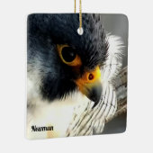 Great Spirit Bluff Falken: Newman Keramikornament (Rechts)