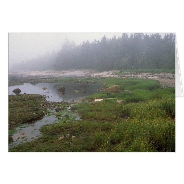Great Wass Island Maine (Vorderseite (Horizontal))