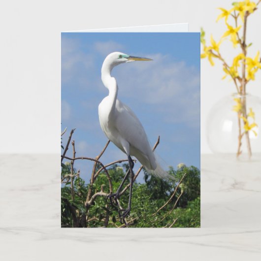 Great White Egret (0848) Karte (Gelbe Blume)