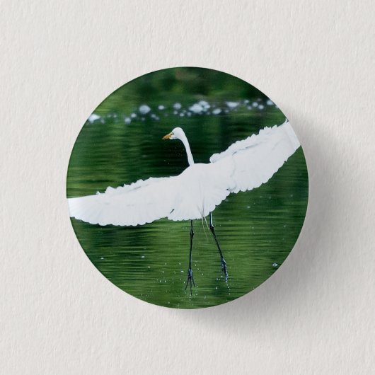 Great White Egret Button (Vorderseite)