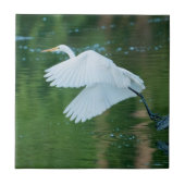 Great White Egret Fliese (Vorderseite)
