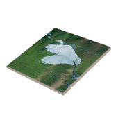 Great White Egret Fliese (Seite)