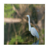 Great White Egret Fliese (Vorderseite)