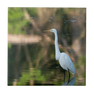 Great White Egret Fliese