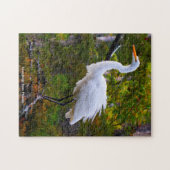 Great White Egret Florida Jigsaw Puzzle (Horizontal)