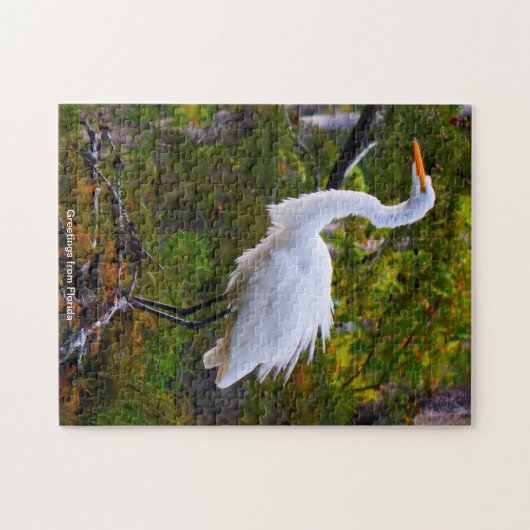 Great White Egret Florida Jigsaw Puzzle (Horizontal)