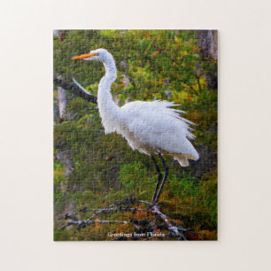 Great White Egret Florida Jigsaw Puzzle