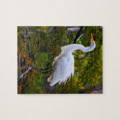 Great White Egret Florida Jigsaw Puzzle (Horizontal)