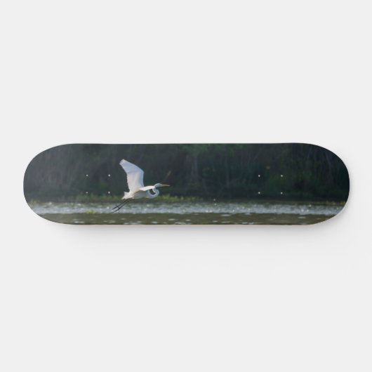 Great White Egret Flying Skateboard (Horizontal)
