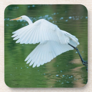 Great White Egret Getränkeuntersetzer