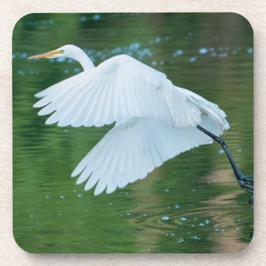 Great White Egret Getränkeuntersetzer (Vorderseite)