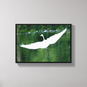 Great White Egret Leinwanddruck