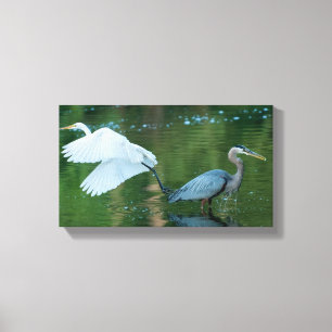 Great White Egret Leinwanddruck