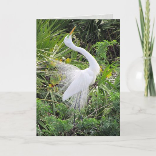 Great White Egret Liebe Dance Feiertagskarte (Vorderseite)