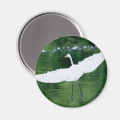 Great White Egret Magnet (Vorderseite/Rückseite)
