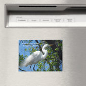 Great White Egret Magnet (In Situ (Geschirrspüler))