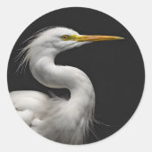 Great White Egret Portrait II Runder Aufkleber (Vorderseite)