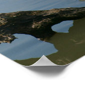 Great White Egret Poster (Ecke)