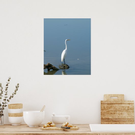 Great White Egret Poster (Küche)