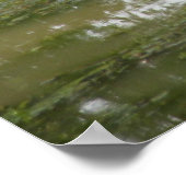 Great White Egret Poster (Ecke)