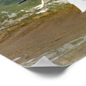 Great White Egret Poster (Ecke)