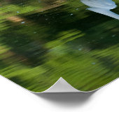 Great White Egret Poster (Ecke)