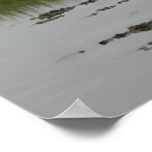 Great White Egret Print Poster (Ecke)