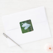 Great White Egret Quadratischer Aufkleber (Umschlag)