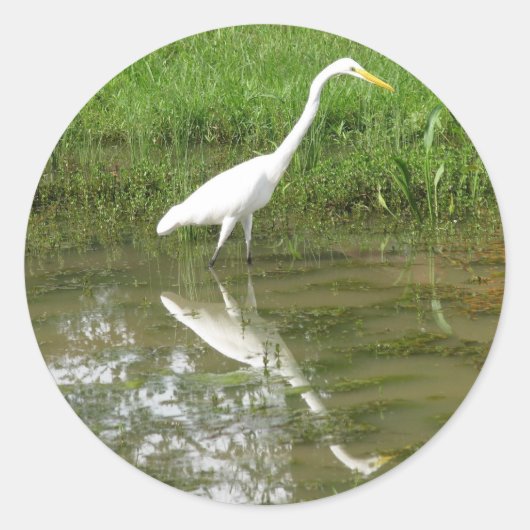 Great White Egret Runder Aufkleber (Vorderseite)