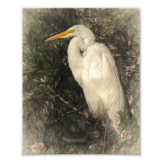 Great White Egret Water Bird Digitale Kunstmalerei Fotodruck (Vorne)