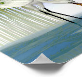 Great White Egrets Poster (Ecke)