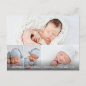 Great White Heron 4 Foto Geburtshinweise Postkarte (Vorderseite)