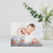 Great White Heron 4 Foto Geburtshinweise Postkarte (Stehend Vorderseite)